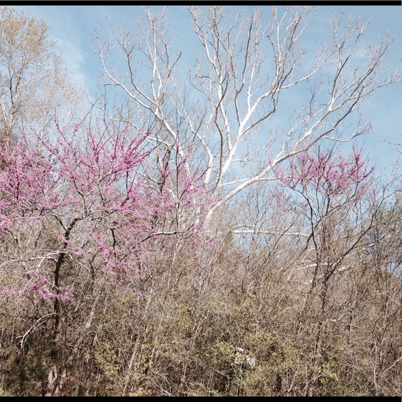 Meet your Posher, Mika - Picture 1 of 1